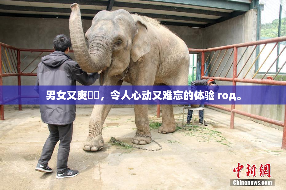 男女又爽❌‌，令人心动又难忘的体验 год。