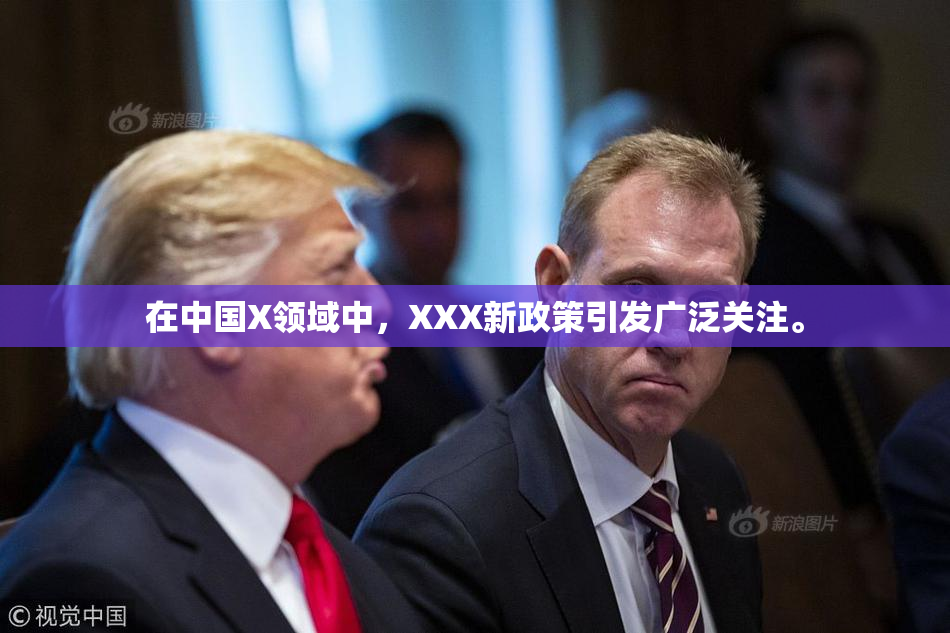 在中国X领域中，XXX新政策引发广泛关注。