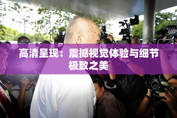 高清呈现：震撼视觉体验与细节极致之美