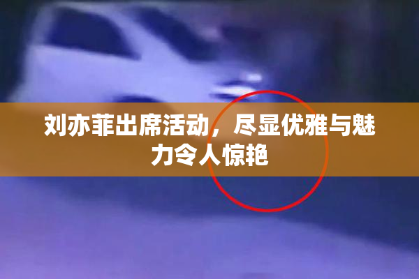 刘亦菲出席活动，尽显优雅与魅力令人惊艳