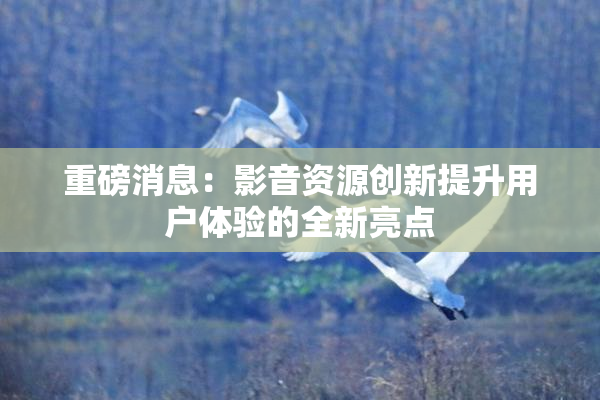 重磅消息：影音资源创新提升用户体验的全新亮点