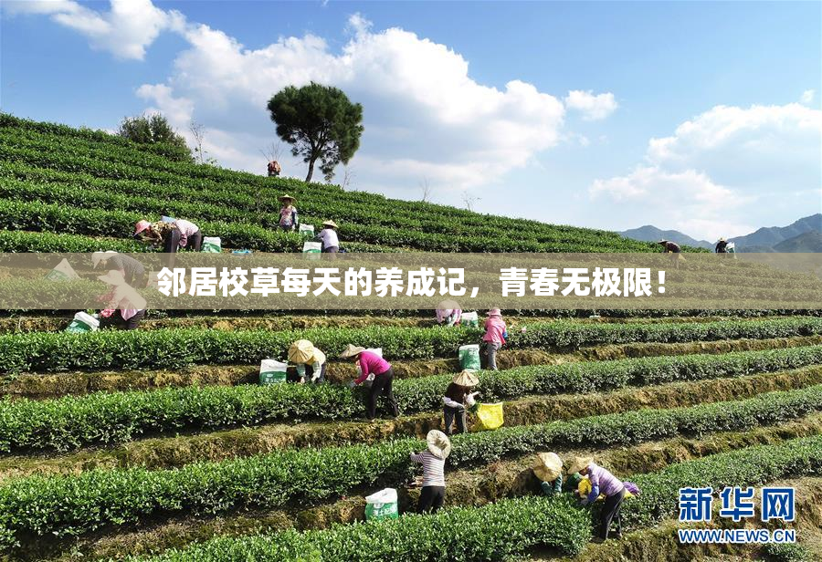 邻居校草每天的养成记，青春无极限！