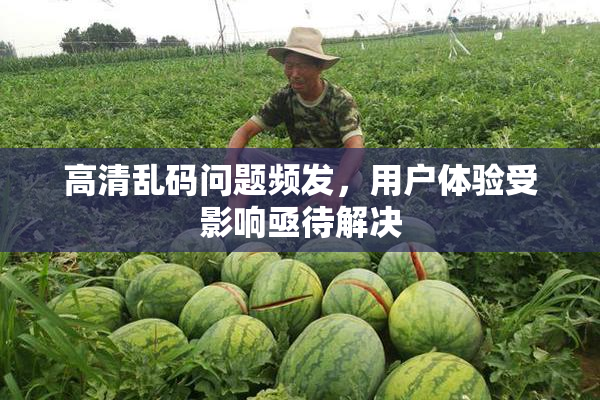 高清乱码问题频发，用户体验受影响亟待解决