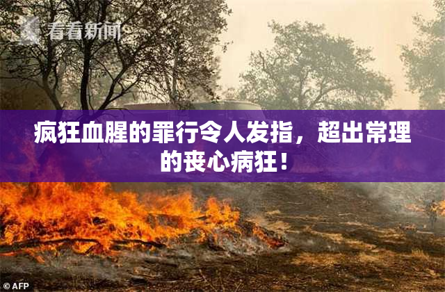 疯狂血腥的罪行令人发指，超出常理的丧心病狂！
