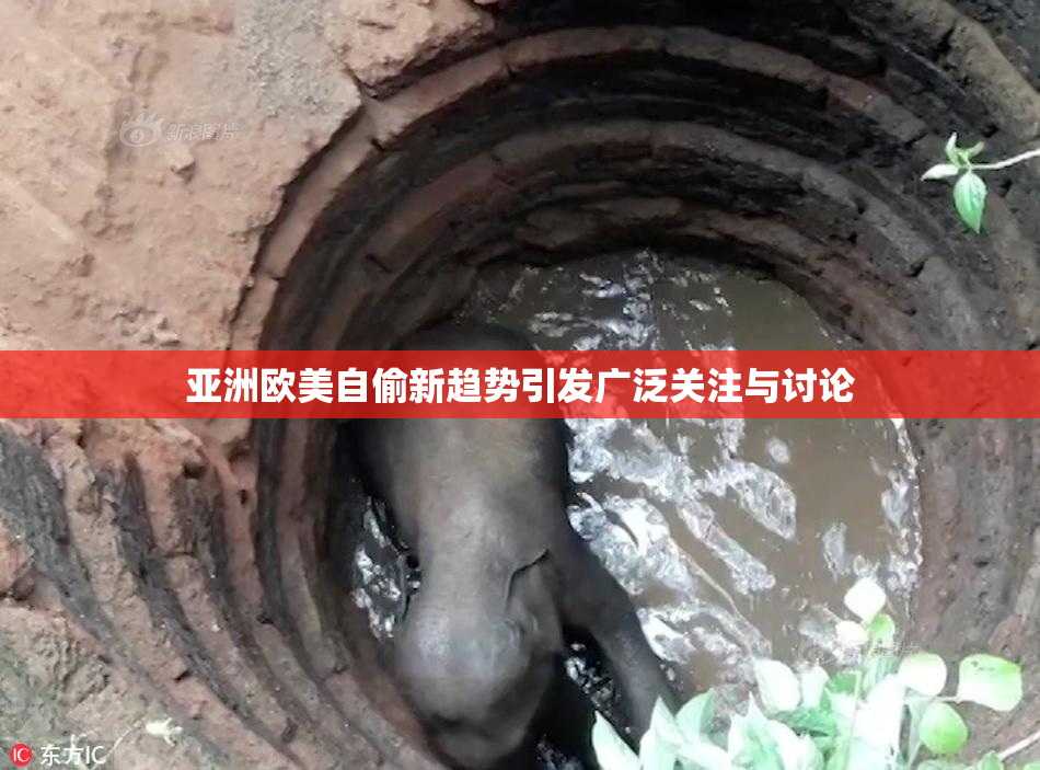 亚洲欧美自偷新趋势引发广泛关注与讨论