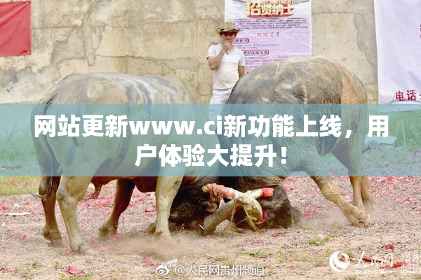 网站更新www.ci新功能上线，用户体验大提升！