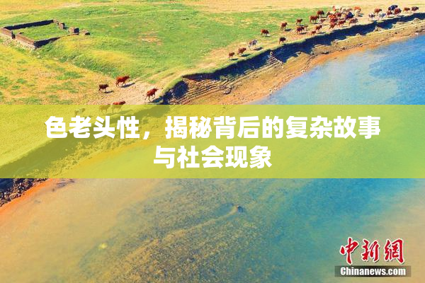 色老头性，揭秘背后的复杂故事与社会现象
