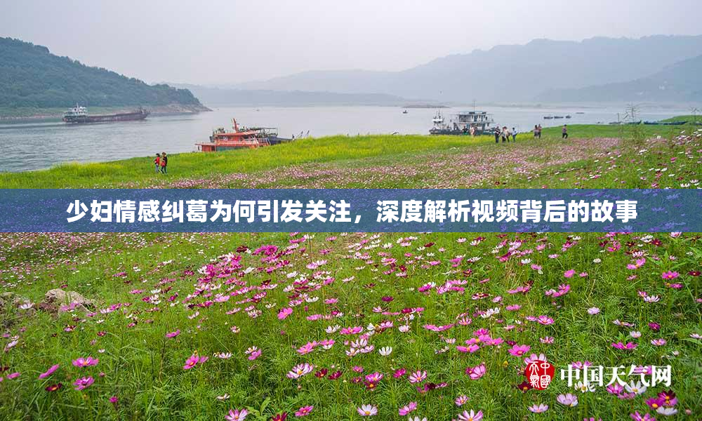 少妇情感纠葛为何引发关注，深度解析视频背后的故事