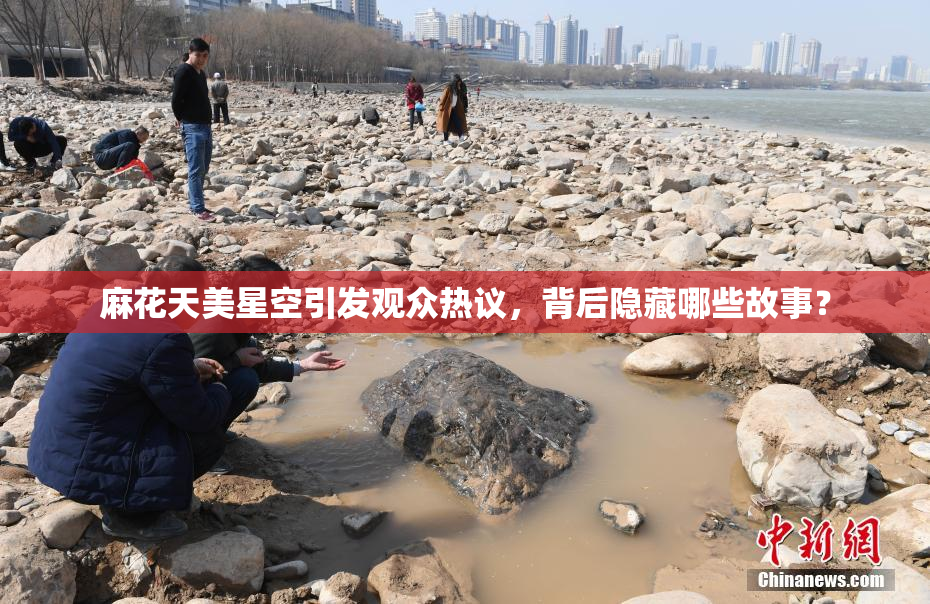 麻花天美星空引发观众热议，背后隐藏哪些故事？