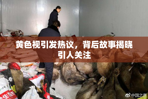 黄色视引发热议，背后故事揭晓引人关注