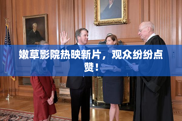 嫩草影院热映新片，观众纷纷点赞！