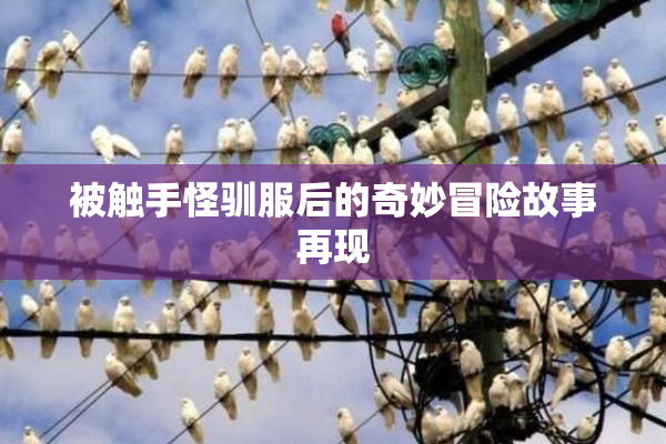 被触手怪驯服后的奇妙冒险故事再现