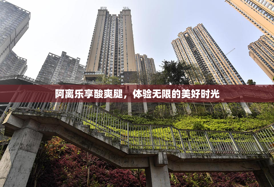 阿离乐享酸爽腿，体验无限的美好时光