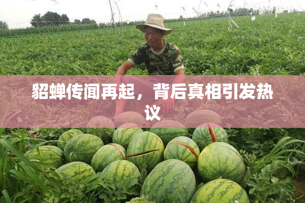 貂蝉传闻再起，背后真相引发热议