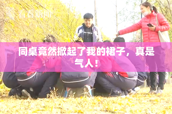 同桌竟然掀起了我的裙子，真是气人！