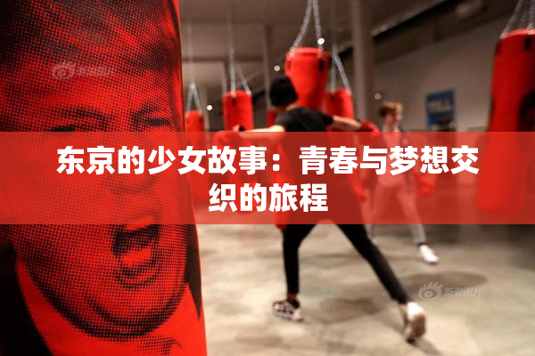 东京的少女故事：青春与梦想交织的旅程