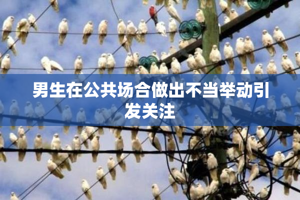 男生在公共场合做出不当举动引发关注