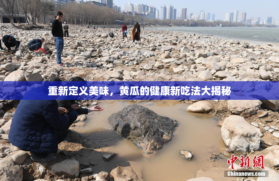 重新定义美味，黄瓜的健康新吃法大揭秘
