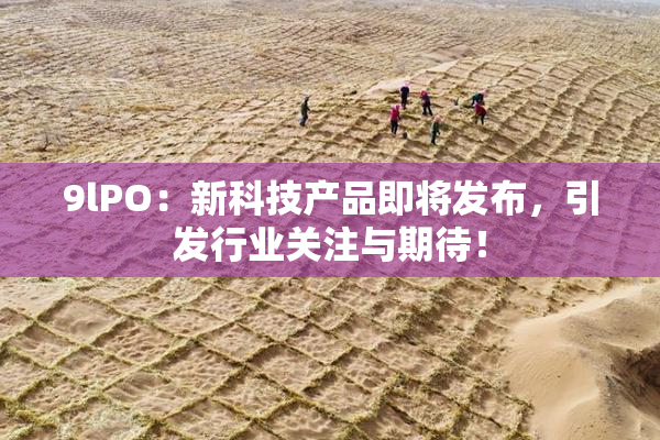 9lPO：新科技产品即将发布，引发行业关注与期待！