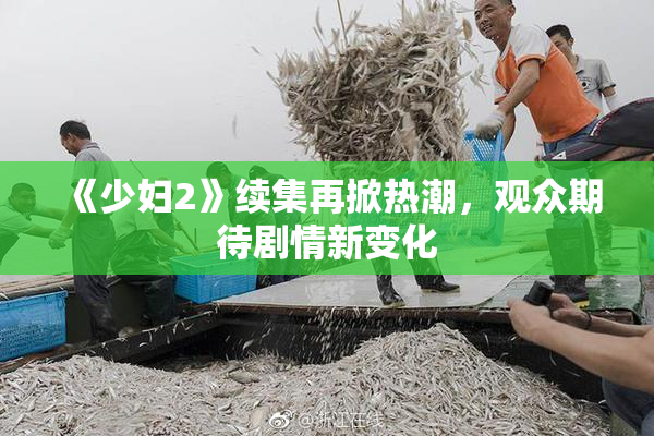 《少妇2》续集再掀热潮，观众期待剧情新变化