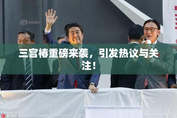 三宫椿重磅来袭，引发热议与关注！