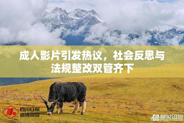 成人影片引发热议，社会反思与法规整改双管齐下