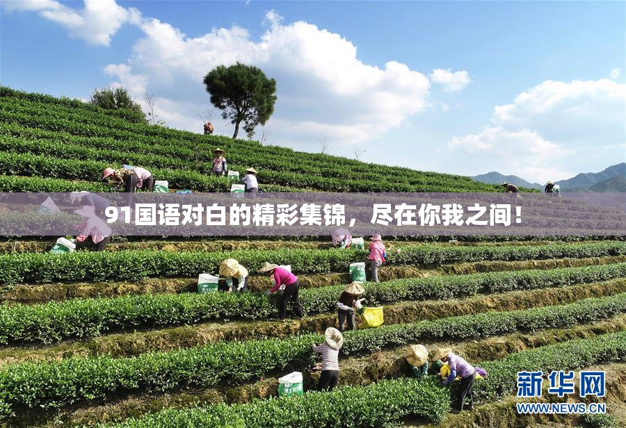 91国语对白的精彩集锦，尽在你我之间！