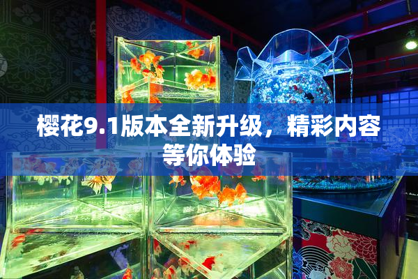 樱花9.1版本全新升级，精彩内容等你体验