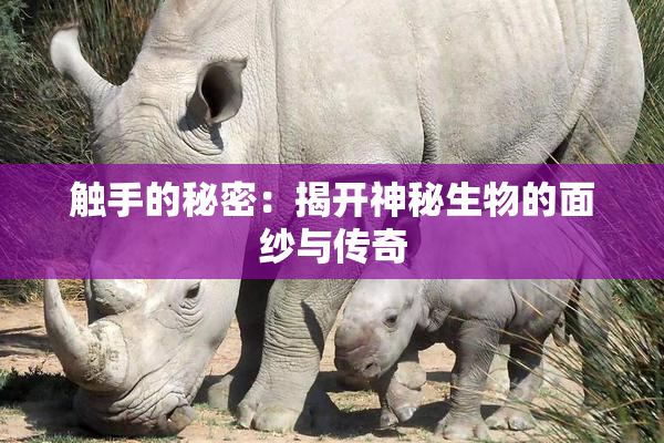 触手的秘密：揭开神秘生物的面纱与传奇