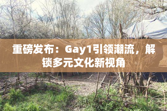 重磅发布：Gay1引领潮流，解锁多元文化新视角