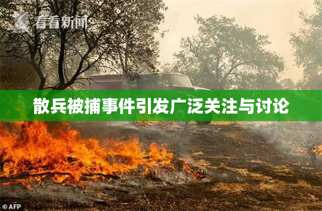 散兵被捕事件引发广泛关注与讨论