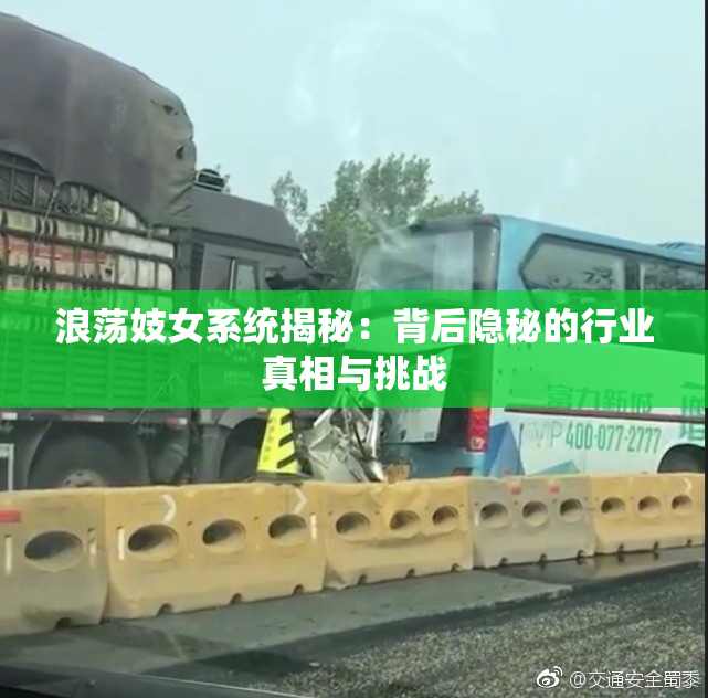 浪荡妓女系统揭秘：背后隐秘的行业真相与挑战