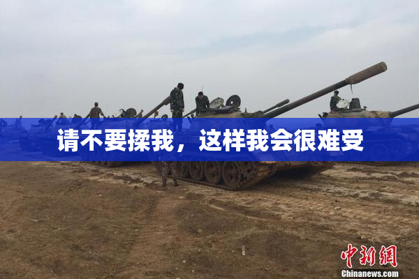 请不要揉我，这样我会很难受