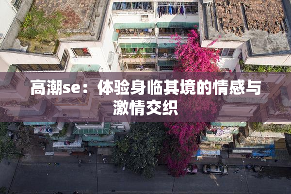 高潮se：体验身临其境的情感与激情交织