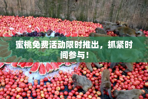 蜜桃免费活动限时推出，抓紧时间参与！