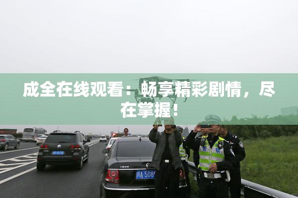 成全在线观看：畅享精彩剧情，尽在掌握！