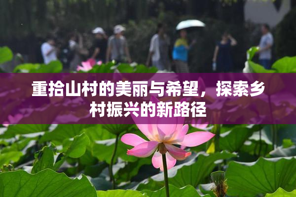 重拾山村的美丽与希望，探索乡村振兴的新路径