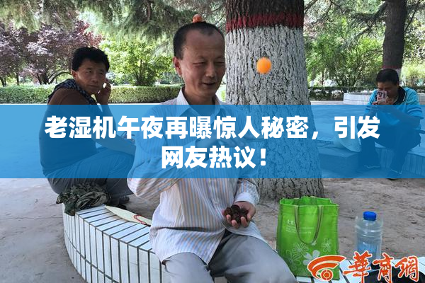 老湿机午夜再曝惊人秘密，引发网友热议！
