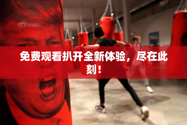 免费观看扒开全新体验，尽在此刻！