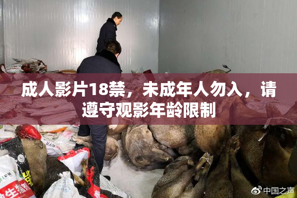 成人影片18禁，未成年人勿入，请遵守观影年龄限制