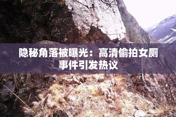 隐秘角落被曝光：高清偷拍女厕事件引发热议