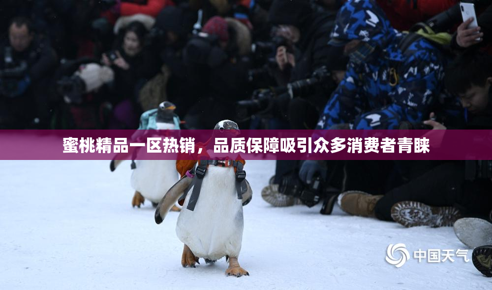 蜜桃精品一区热销，品质保障吸引众多消费者青睐