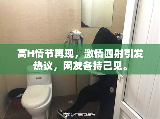 高H情节再现，激情四射引发热议，网友各持己见。