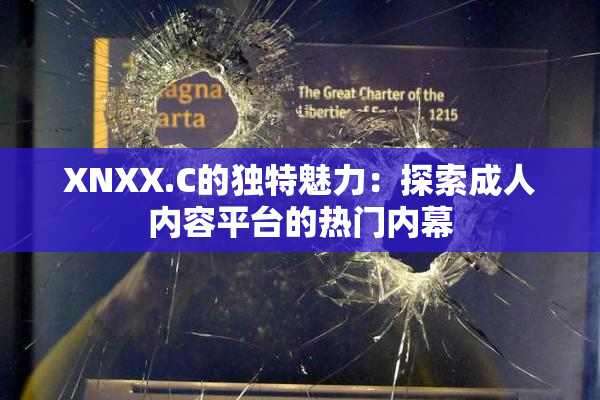 XNXX.C的独特魅力：探索成人内容平台的热门内幕