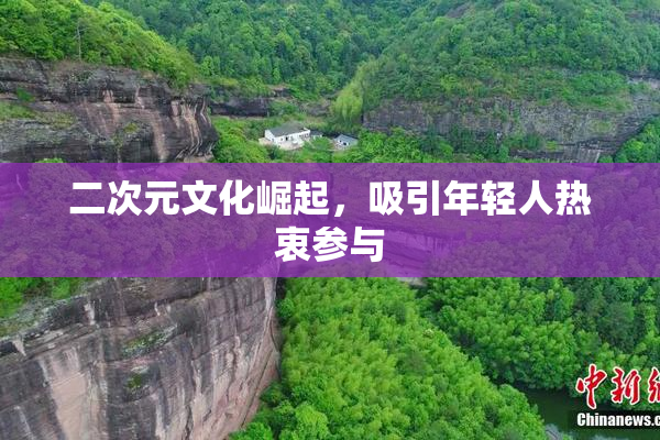 二次元文化崛起，吸引年轻人热衷参与