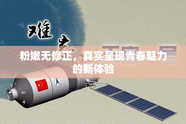 粉嫩无修正，真实呈现青春魅力的新体验