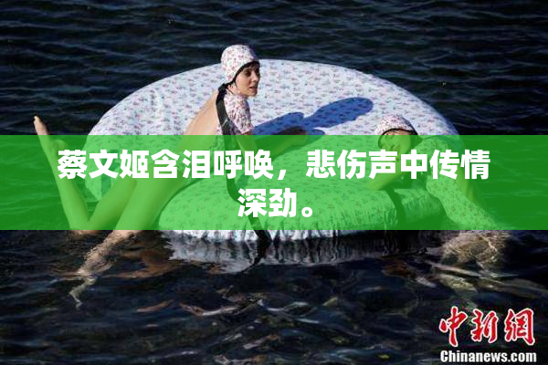 蔡文姬含泪呼唤，悲伤声中传情深劲。