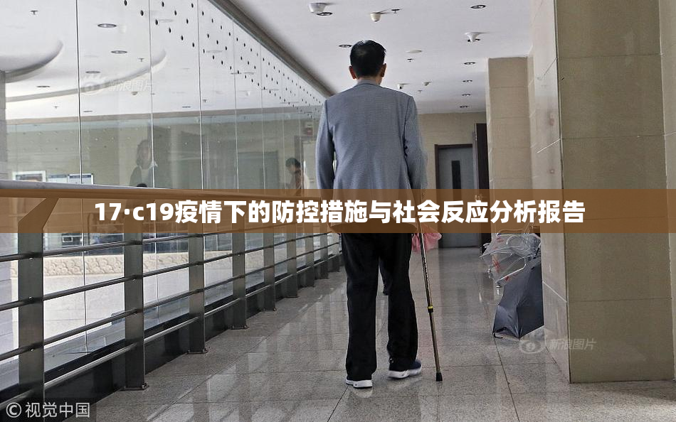 17·c19疫情下的防控措施与社会反应分析报告