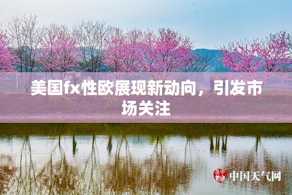 美国fx性欧展现新动向，引发市场关注