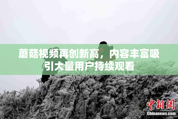 蘑菇视频再创新高，内容丰富吸引大量用户持续观看